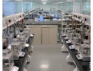 全球市場(chǎng)占有率近70%，看松江這家科學(xué)儀器企業(yè)如何全球化突圍