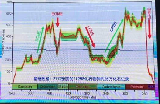  古生代海洋生物多樣性曲線與重要演化事件