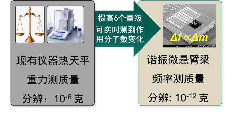 李昕欣：一顆芯片改變了一整類高端科學儀器的命運